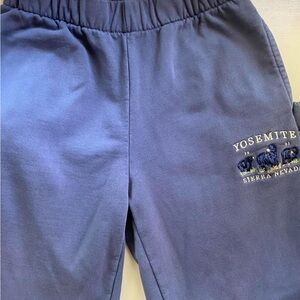 Brandy Melville Yosemite Sweatpants